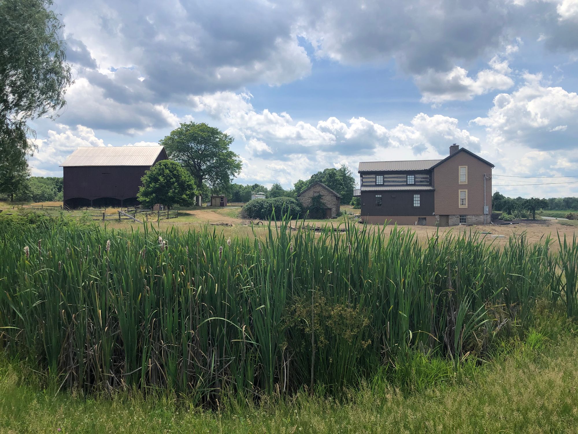 About Still Wagon Farm